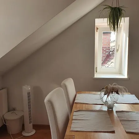 Altbau Dachgeschosswohnung Mitten In Daire Graz